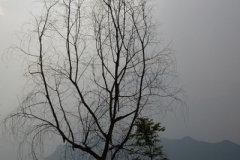 25823457963_328e20ce5d_z