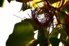 9C5BDA1D-CF39-4618-A648-6443DF4803D6